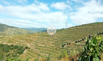 Terreno em Ervedosa do Douro