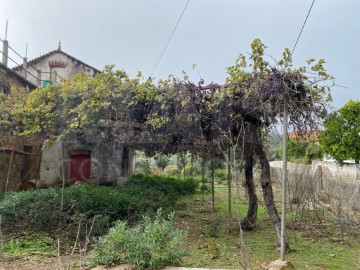 Maison 3 Chambres à Alvares