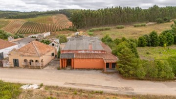 Locaux commerciaux à Bombarral e Vale Covo