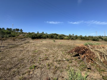 Terre à Amoreira