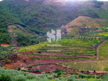 Maisons de campagne à Covas do Douro