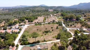 Terreno em Azeitão (São Lourenço e São Simão)