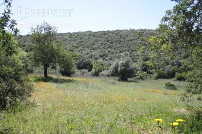 Terreno com ruína, Santa Barbara de Nexe