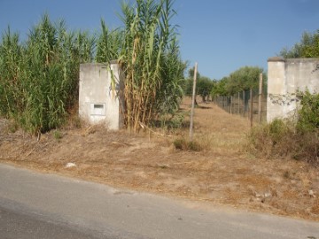 Terreno em Arneiro das Milhariças