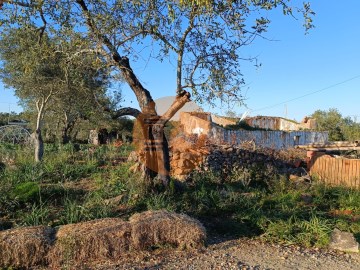 QUINTA EM TAVIRA (57)