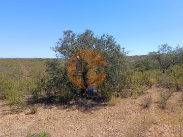 TERRENO VISTA SERRA