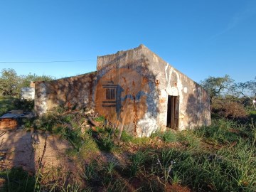 QUINTA EM TAVIRA (34)