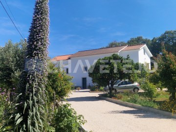 A beautifull villa for sale central Portugal (11)