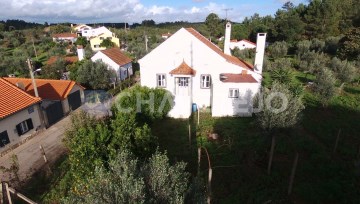 Quintinha com duas casas de habitação e terreno co