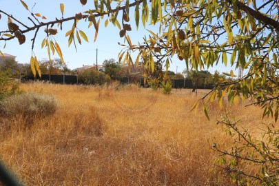 Terreno em Almancil