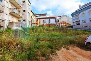 Land in Cadaval e Pêro Moniz