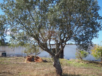 Quinta com projeto aprovado - serra Grândola