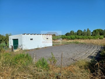 Lote com 6000 m2 e armazém