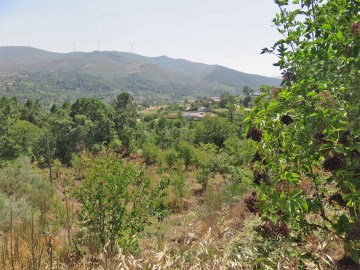 Terreno em São João de Tarouca