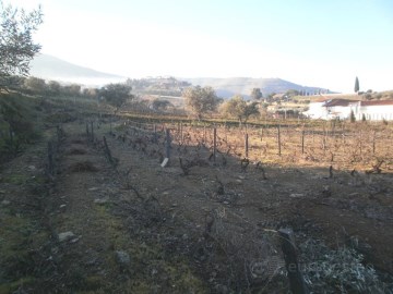 Terrenos em Nagoselo do Douro
