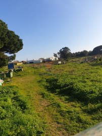 Terreno em Amora