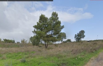 Land with open views