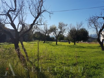 Land in Campanet