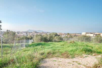 Solar en Llubí, Mallorca (17)