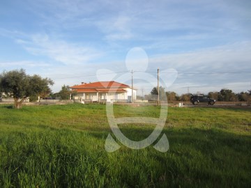 Terreno para construção Pena, Cantanhede