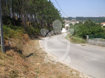 Terreno em DianteiroS. Paulo de Frades