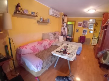 Apartment 1 Bedroom in Pineda de Mar Centre