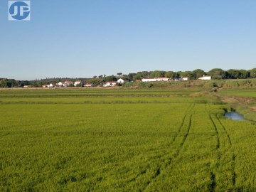 Herdade 226ha - Alcácer do Sal