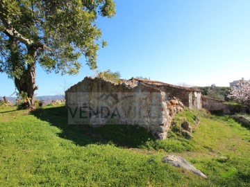 Quintas e casas rústicas em São Brás de Alportel