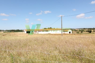 Terreno com Ruinas, 20 Hectares Área, Odiáxere.