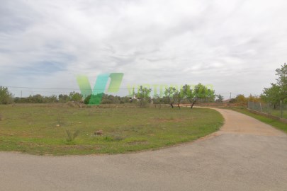 Terreno Misto, Possibilidade de Construção, Silves