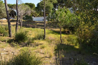 Terrain urbain près de la plage