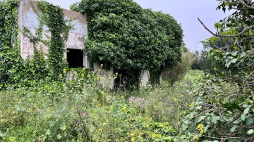 Terreno com ruína e terreno rústico, Galvana, Faro