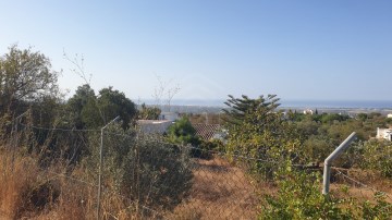 Terrain de 18 800 m2 avec forage à Picota à Loulé