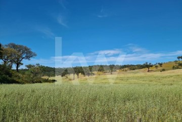 Country homes  in Relíquias