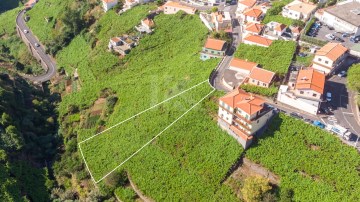 Lote Estreito de Câmara de Lobos