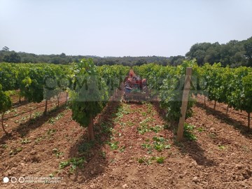 Bodega de vino con parcela 13.599 m2 en COSTITX