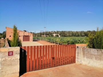 Pequeña bodega de vino con parcela 13.599 m2 en CO