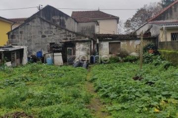 Quintal/Jardim