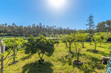 Quintal/Jardim