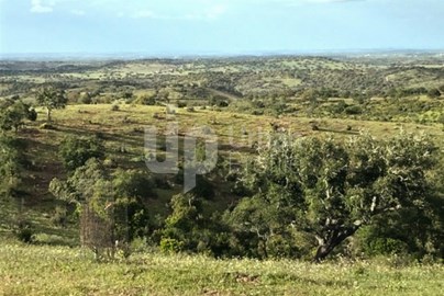 Herdade para venda no Alentejo