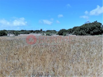 Terreno Agricola - Vale Verde