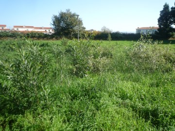 Lote de Terreno em Albergaria-a-Velha