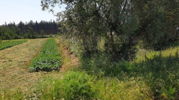 Terreno para construção de Pavilhão / Industria Al