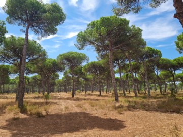 Casas rústicas en Melides