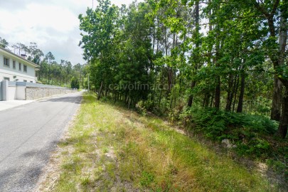 Terreno en venta en Mazedo y Cortes, Monção con ap