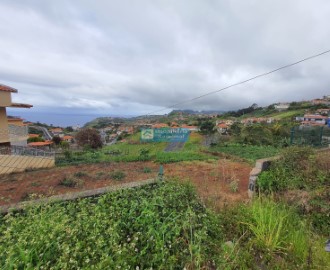 Land in São Jorge