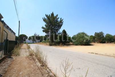 Terreno Industrial Construção Armazém Sado Setúbal