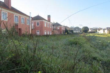 Terreno em Monte Real e Carvide