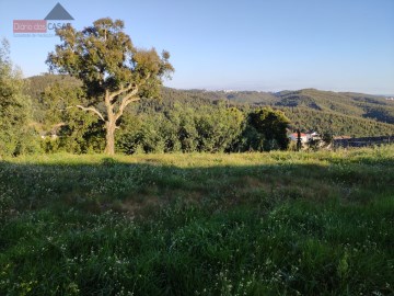 Terreno em Santo António dos Olivais