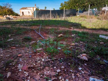 Terreno no Areeiro com 2 Ruínas e Anexo Agrícola